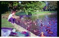 IMG2741