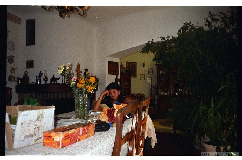 IMG2308.jpg