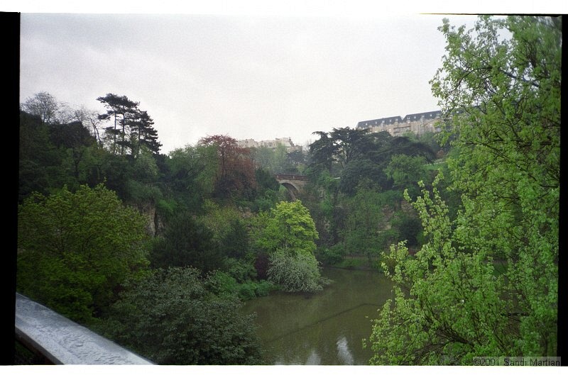 IMG2297.jpg