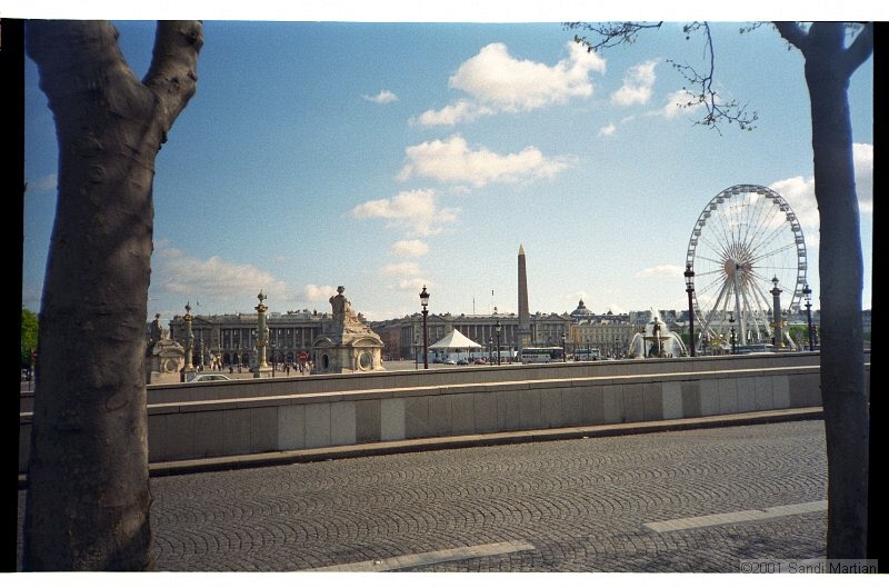 IMG2412.jpg
