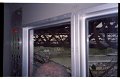 IMG2282