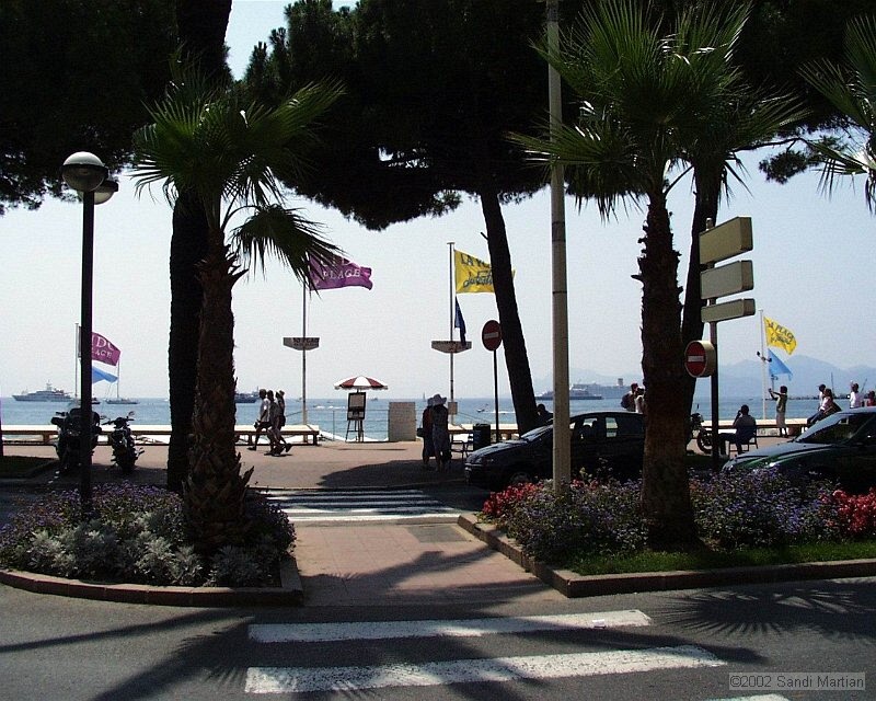 015.Cannes1.jpg