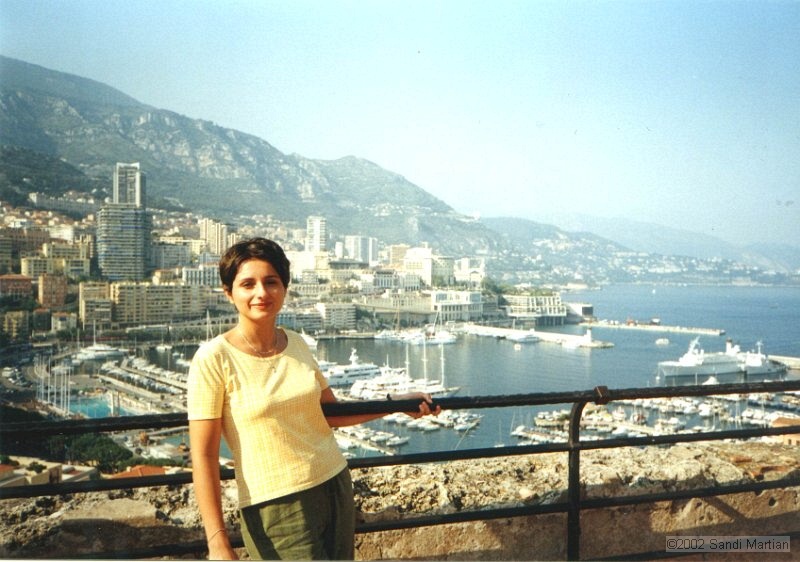 5.MonteCarlo.jpg