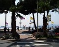 015.Cannes1