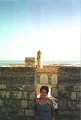 2.Camargue
