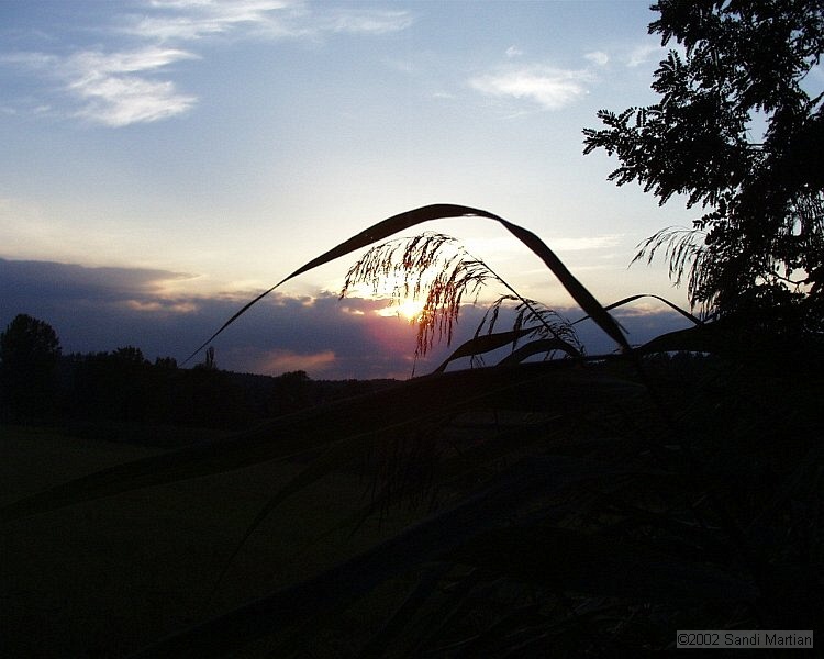 PIC00076.JPG