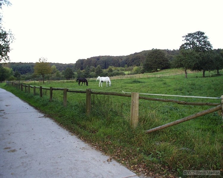 PIC00078.JPG