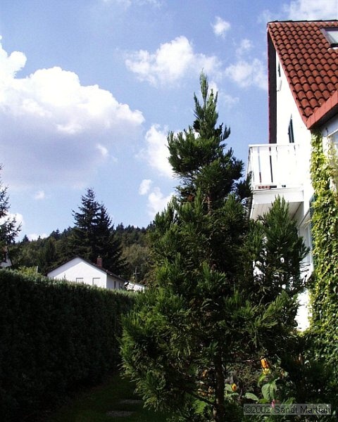 PIC00113.JPG