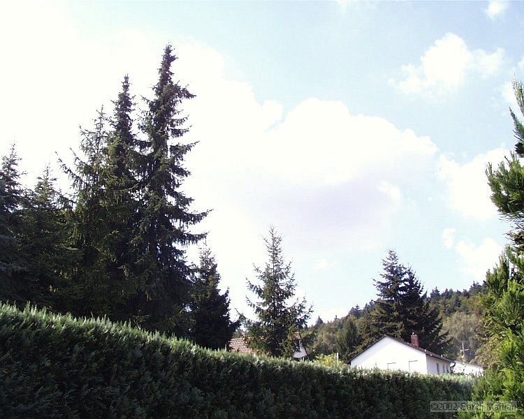 PIC00114.JPG