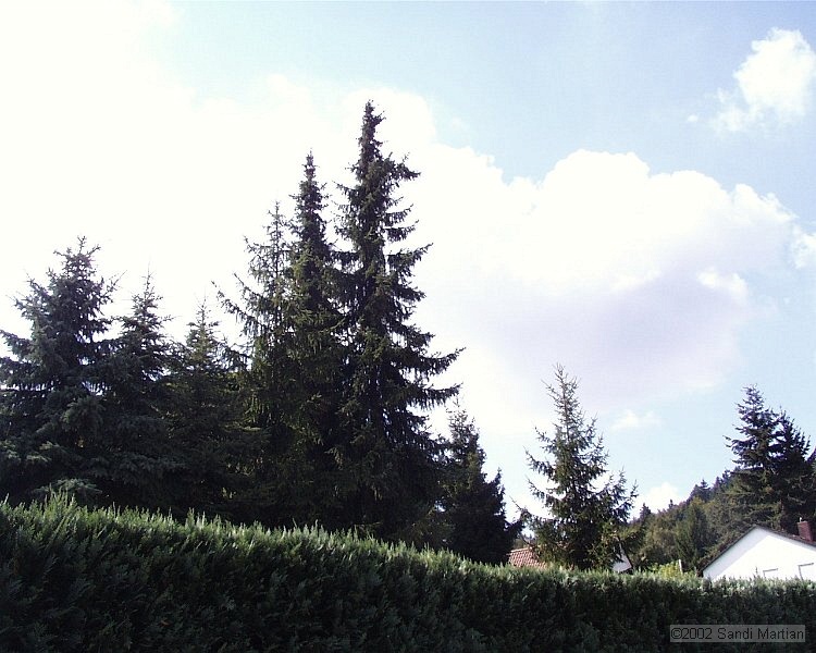 PIC00115.JPG