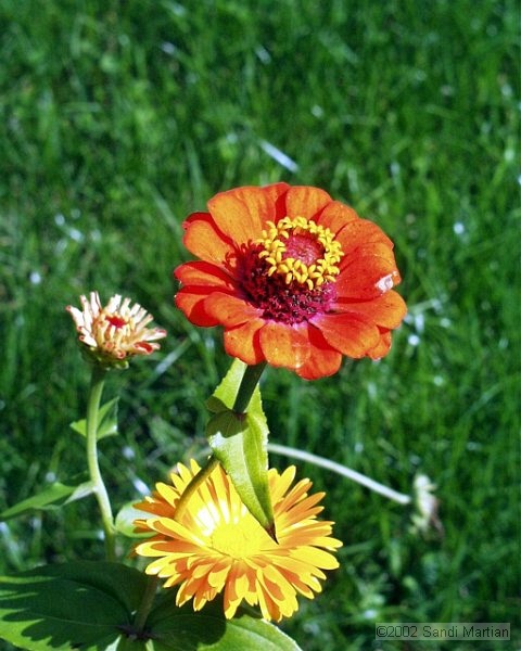PIC00120.JPG
