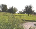 PIC00047