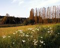 Muhltal - septembrie 2002