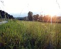 PIC00061