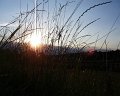 PIC00062