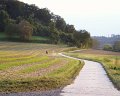 PIC00064