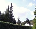 PIC00114