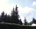 PIC00115