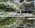 PIC00027