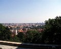 PIC00088
