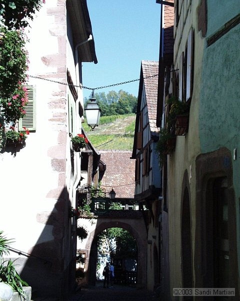 PIC00001.jpg