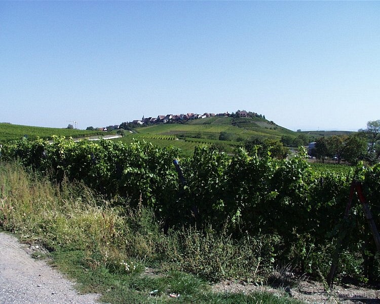 PIC00008.jpg