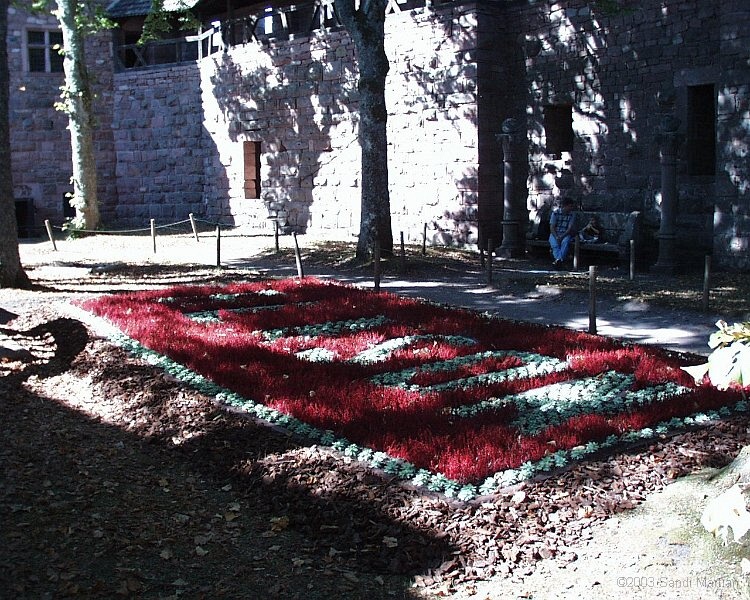 PIC00015.jpg