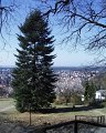 PIC00125