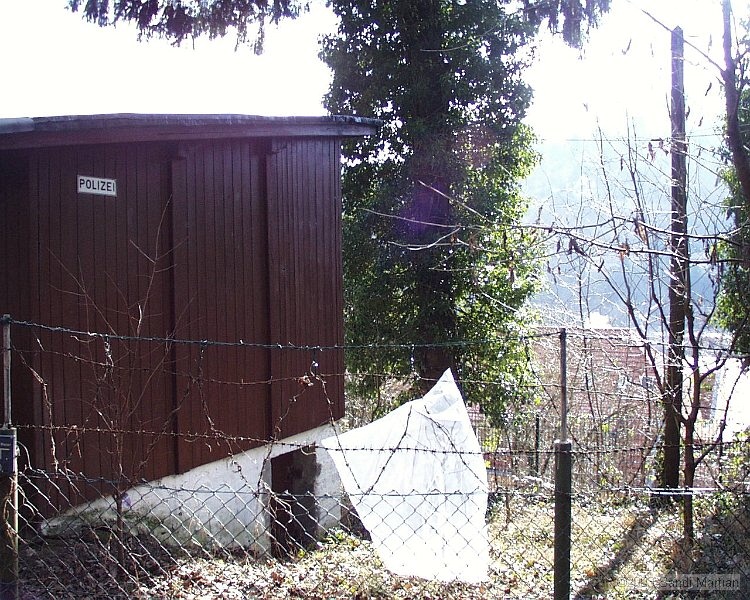 PIC00009.JPG