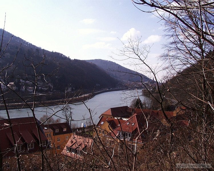 PIC00010.JPG