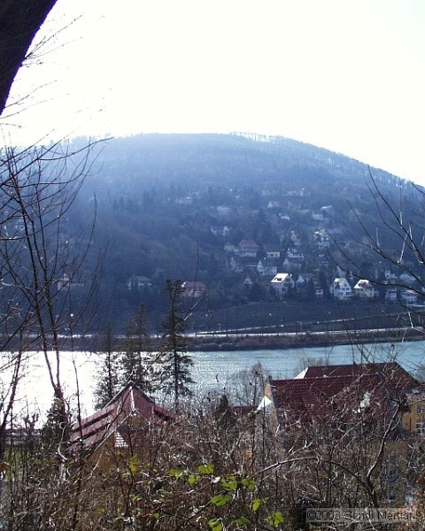 PIC00011.JPG