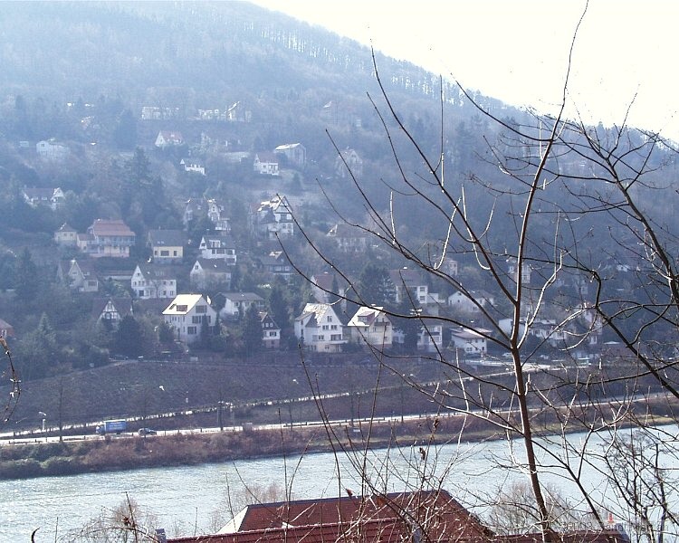 PIC00012.JPG