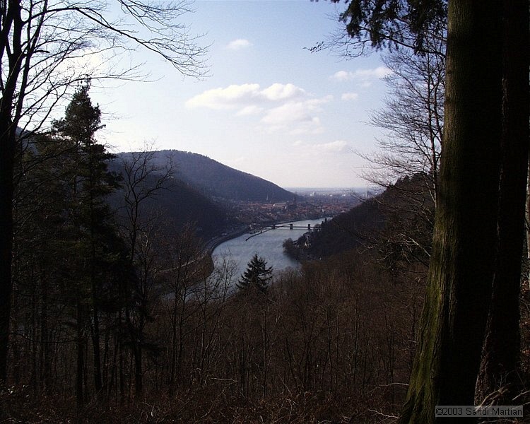 PIC00018.JPG