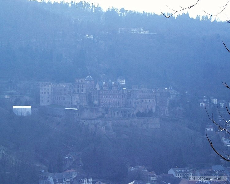 PIC00019.JPG
