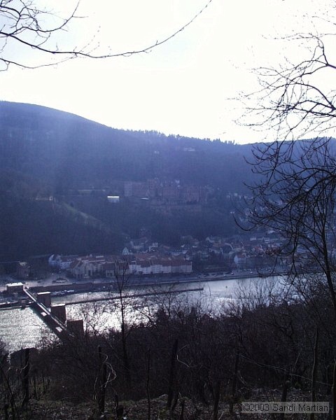 PIC00020.JPG