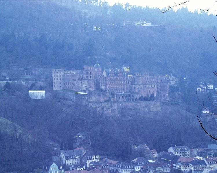 PIC00021.JPG