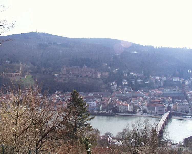 PIC00023.JPG