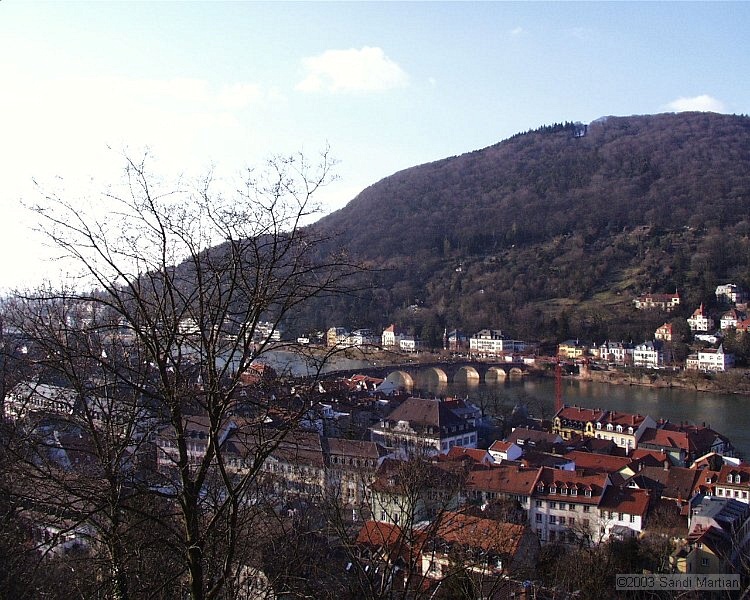 PIC00035.JPG