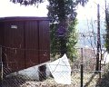 PIC00009