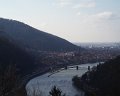 PIC00017