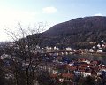 PIC00035