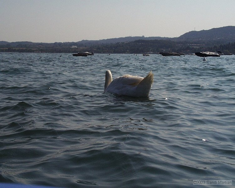 PIC00074.jpg