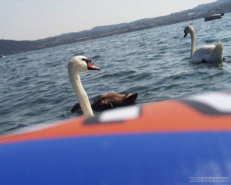PIC00077.jpg