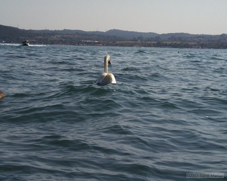 PIC00078.jpg
