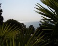 PIC00081