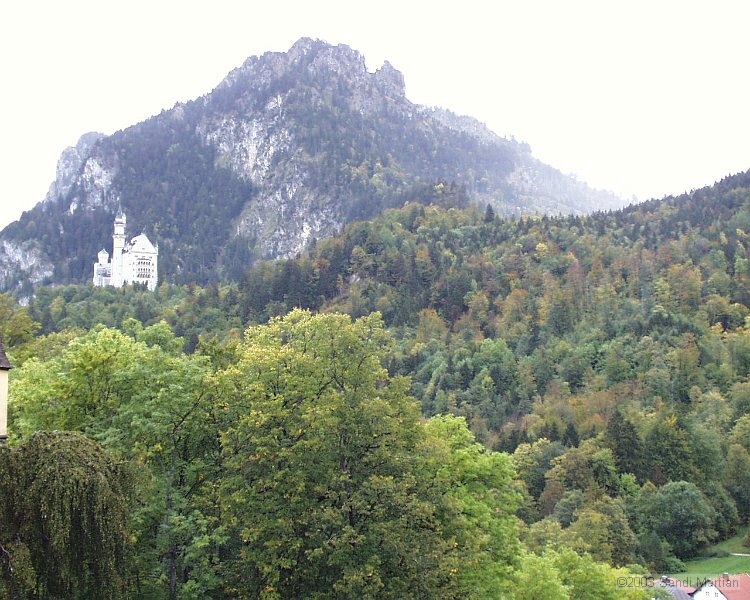 PIC00005.JPG