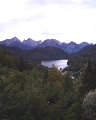 PIC00334