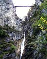 PIC00336