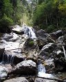 PIC00337