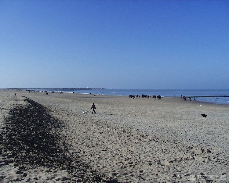 PIC00004.JPG